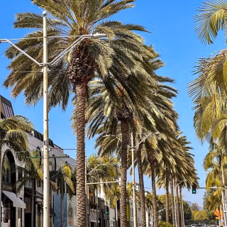 Beverly Hills iPhone wallpaper