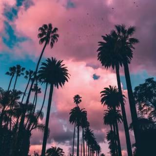 Beverly Hills iPhone wallpaper