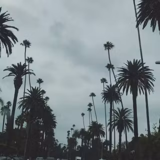 Beverly Hills iPhone wallpaper