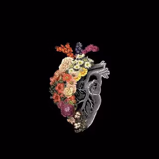Medicine iPhone wallpaper