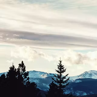 iPhone X vintage wallpaper