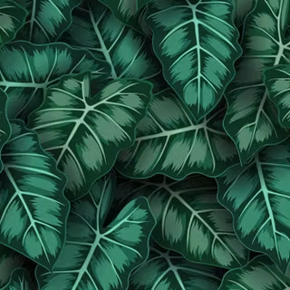 Exotic iPhone wallpaper