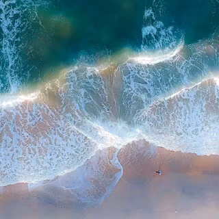Exotic iPhone wallpaper
