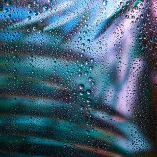 Exotic iPhone wallpaper