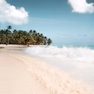 Exotic iPhone wallpaper
