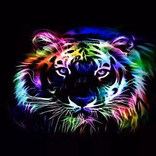 Exotic iPhone wallpaper