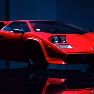 Exotic iPhone wallpaper