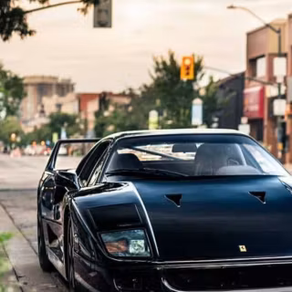 Exotic iPhone wallpaper