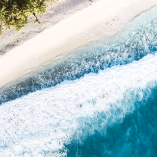 Exotic iPhone wallpaper