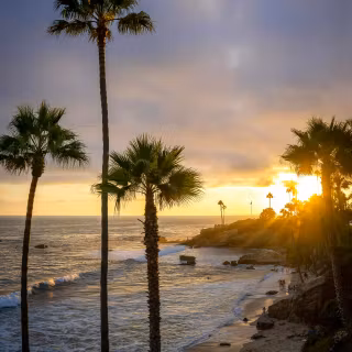 Exotic iPhone wallpaper