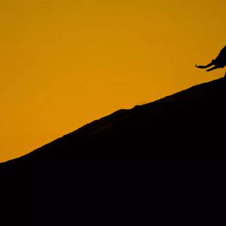 Dune PC 4k wallpaper