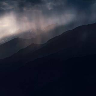 Rain nature 4k wallpaper