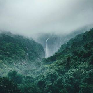 Rain nature 4k wallpaper