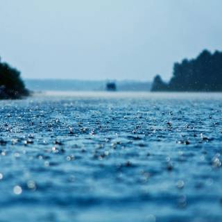 Rain nature 4k wallpaper
