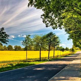 PC 4k natural wallpaper