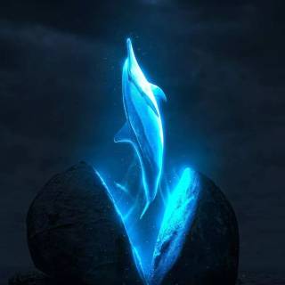 iPhone dolphin wallpaper