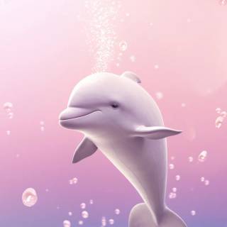 iPhone dolphin wallpaper