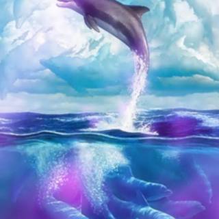 iPhone dolphin wallpaper