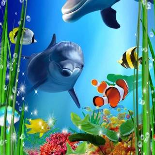 iPhone dolphin wallpaper