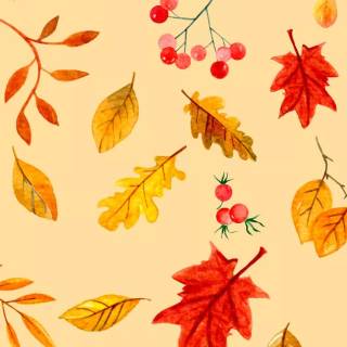 Fall iPhone 6 wallpaper