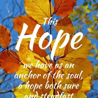 Fall iPhone 6 wallpaper