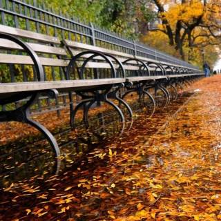 Fall iPhone 6 wallpaper