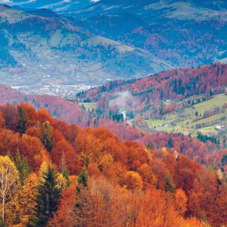 Fall iPhone 6 wallpaper