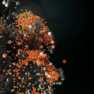 Fall iPhone 6 wallpaper