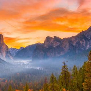 Fall iPhone 6 wallpaper