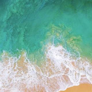 Pretty iPhone 11 wallpaper