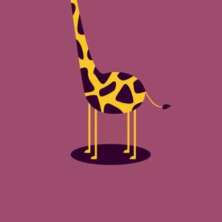 Pretty iPhone 11 wallpaper