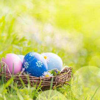 Easter 2025 wallpaper