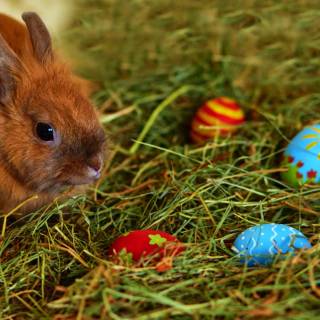 Easter 2025 wallpaper