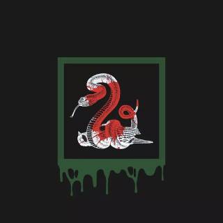 Green drip wallpaper