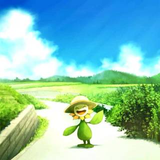 Pokémon summer wallpaper