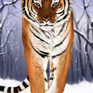 Tiger in snow wallpaper