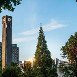 The University of British Columbia wallpaper