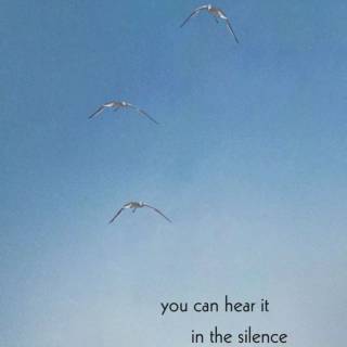 Silent quotes wallpaper