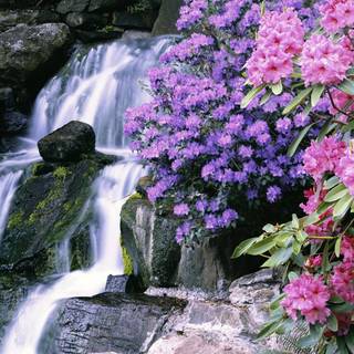 Purple waterfall wallpaper