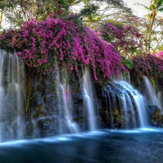 Purple waterfall wallpaper