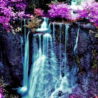 Purple waterfall wallpaper