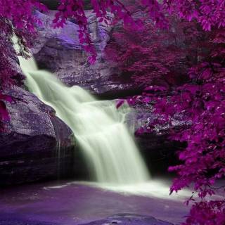 Purple waterfall wallpaper