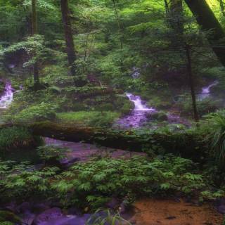 Purple waterfall wallpaper