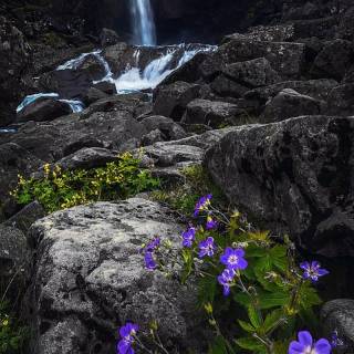 Purple waterfall wallpaper