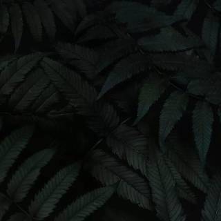 Realme dark wallpaper