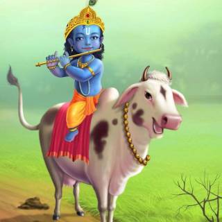 Krishna and cow wallpaper
