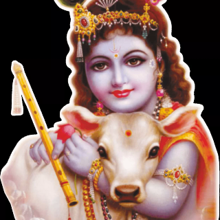 Krishna and cow wallpaper