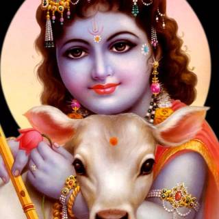 Krishna and cow wallpaper