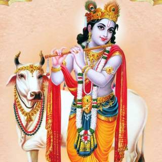 Krishna and cow wallpaper