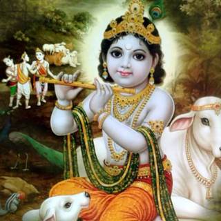 Krishna and cow wallpaper